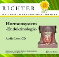 Hormonsystem-Endokrinologie